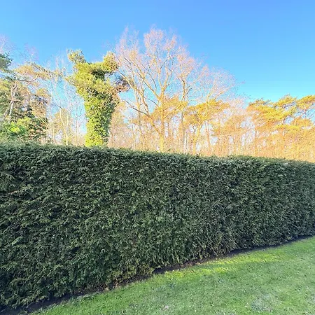 Strandresidenz Juliusruh 2 شقة